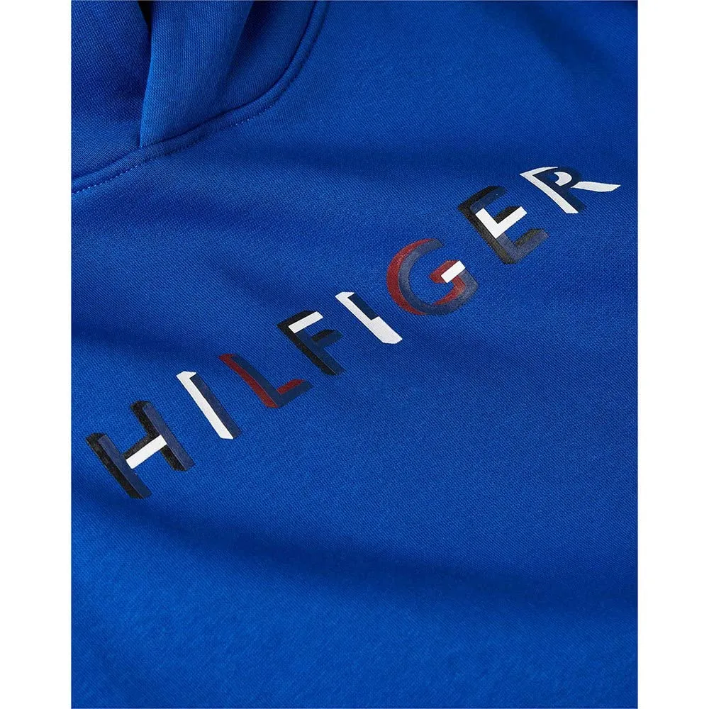 Tommy Hilfiger Felpa con Cappuccio Uomo Blu S classica