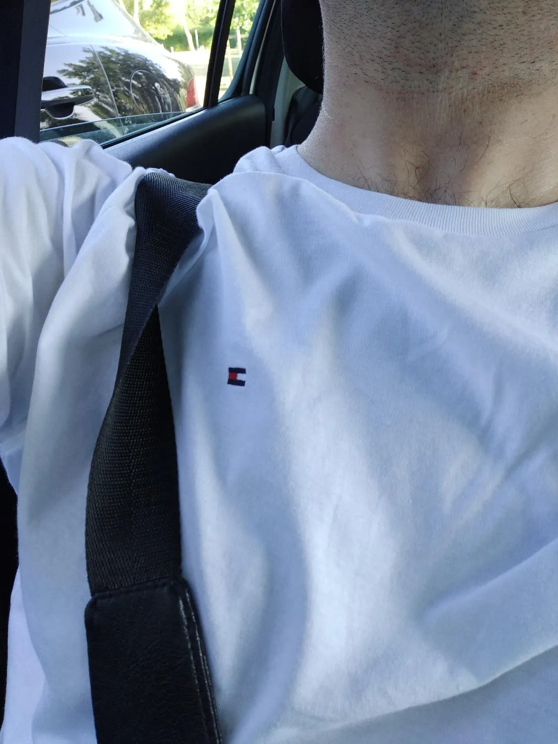 Tommy Hilfiger T-shirt girocollo M cotone biologico