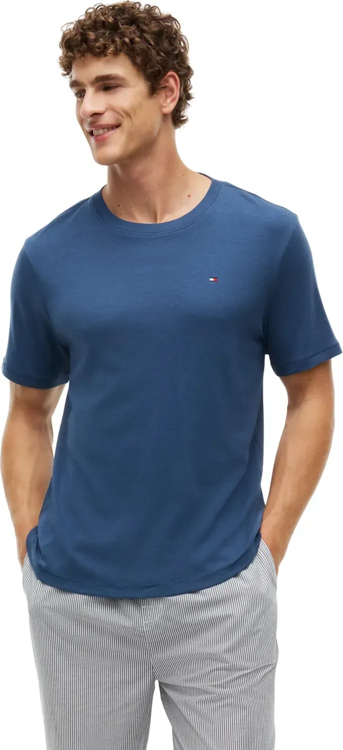 Tommy Hilfiger SS Tee Um0um03995 t-shirt uomo L azzurra